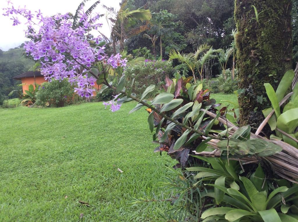 Hotel Cabinas Los Guayabos La Fortuna Exteriér fotografie